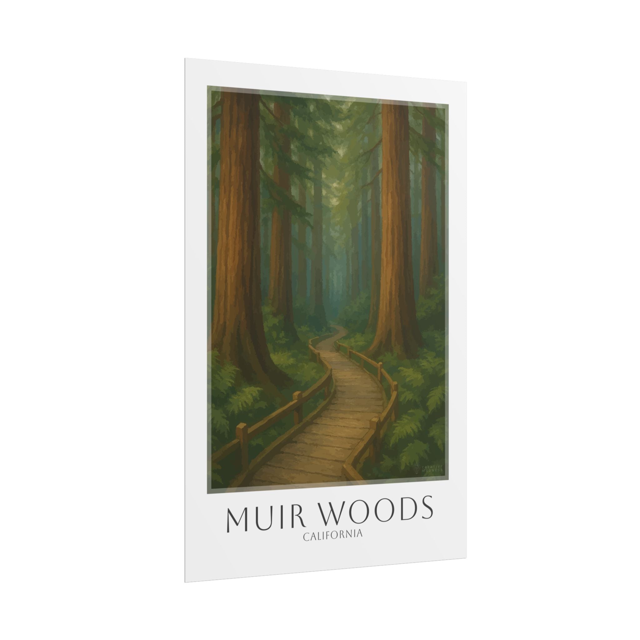 Muir Woods Travel Poster