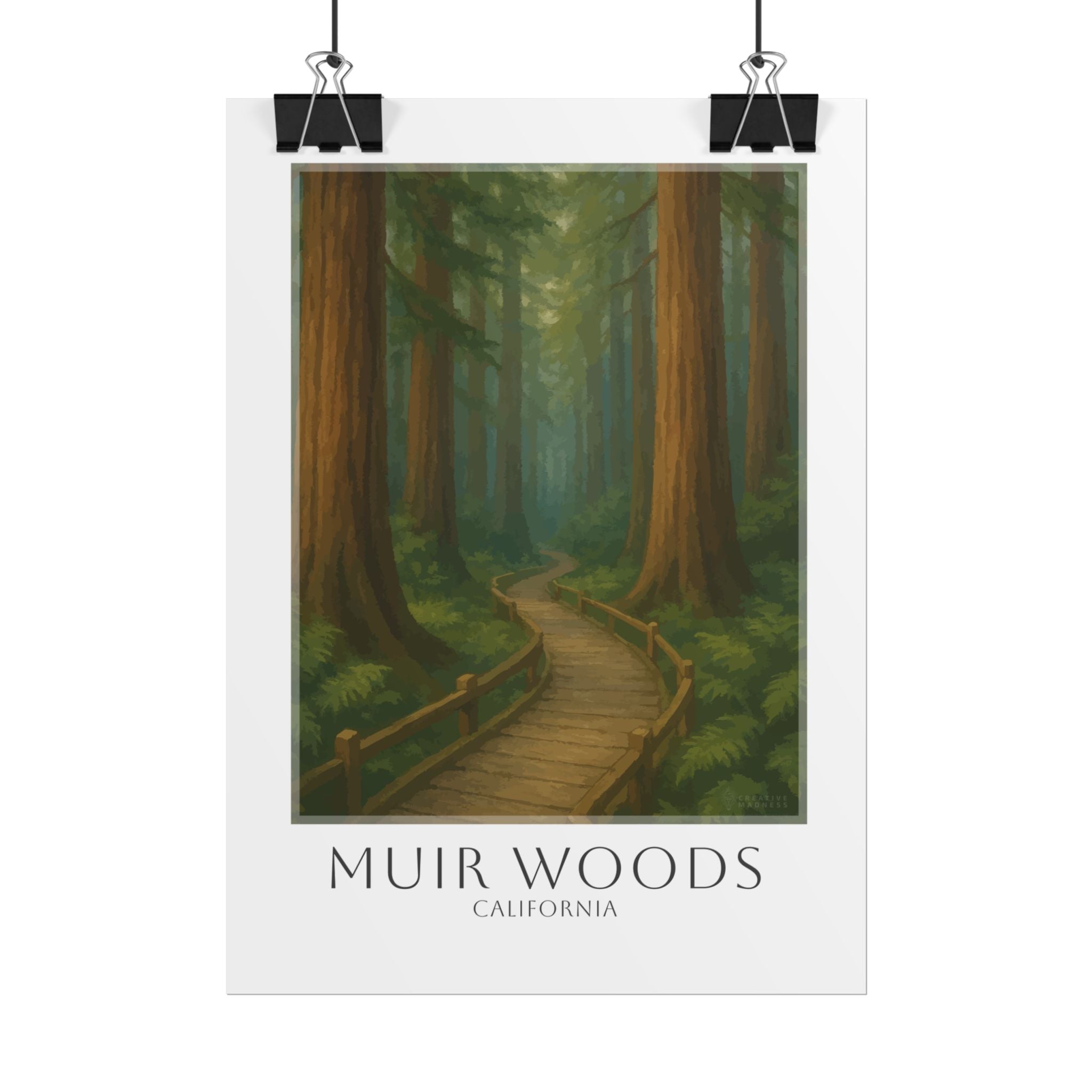 Muir Woods Travel Poster
