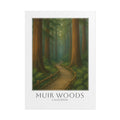 Muir Woods Travel Poster