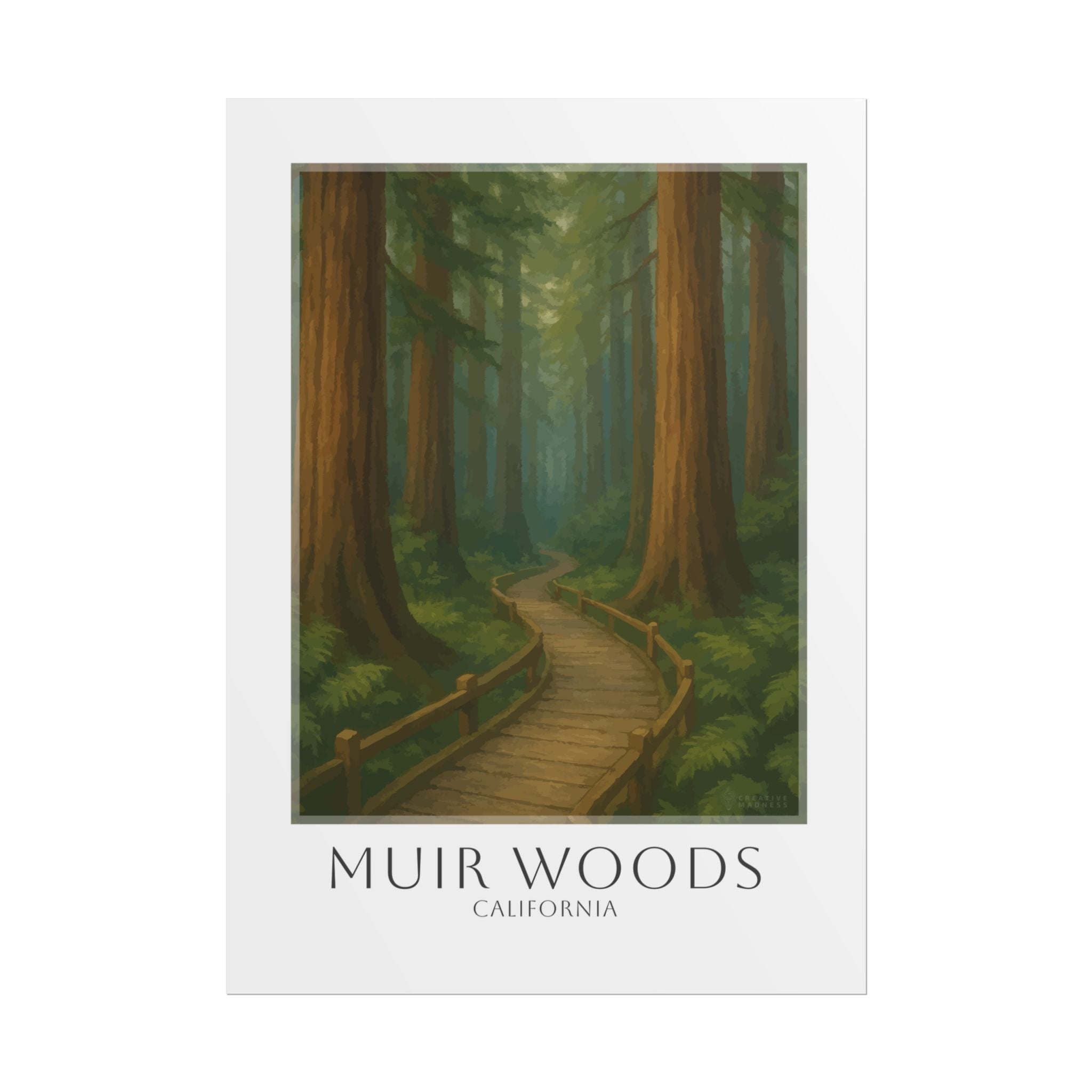 Muir Woods Travel Poster