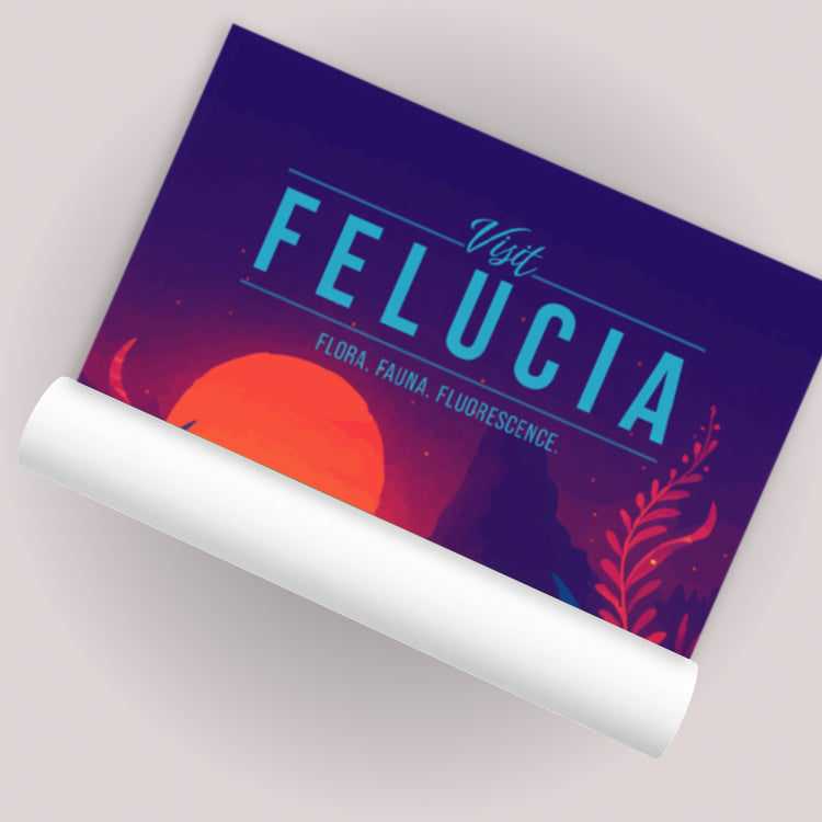 Felucia Travel Poster