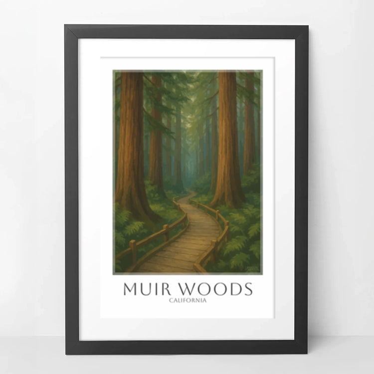 muir-woods-framed