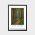 muir-woods-gray-bg-framed