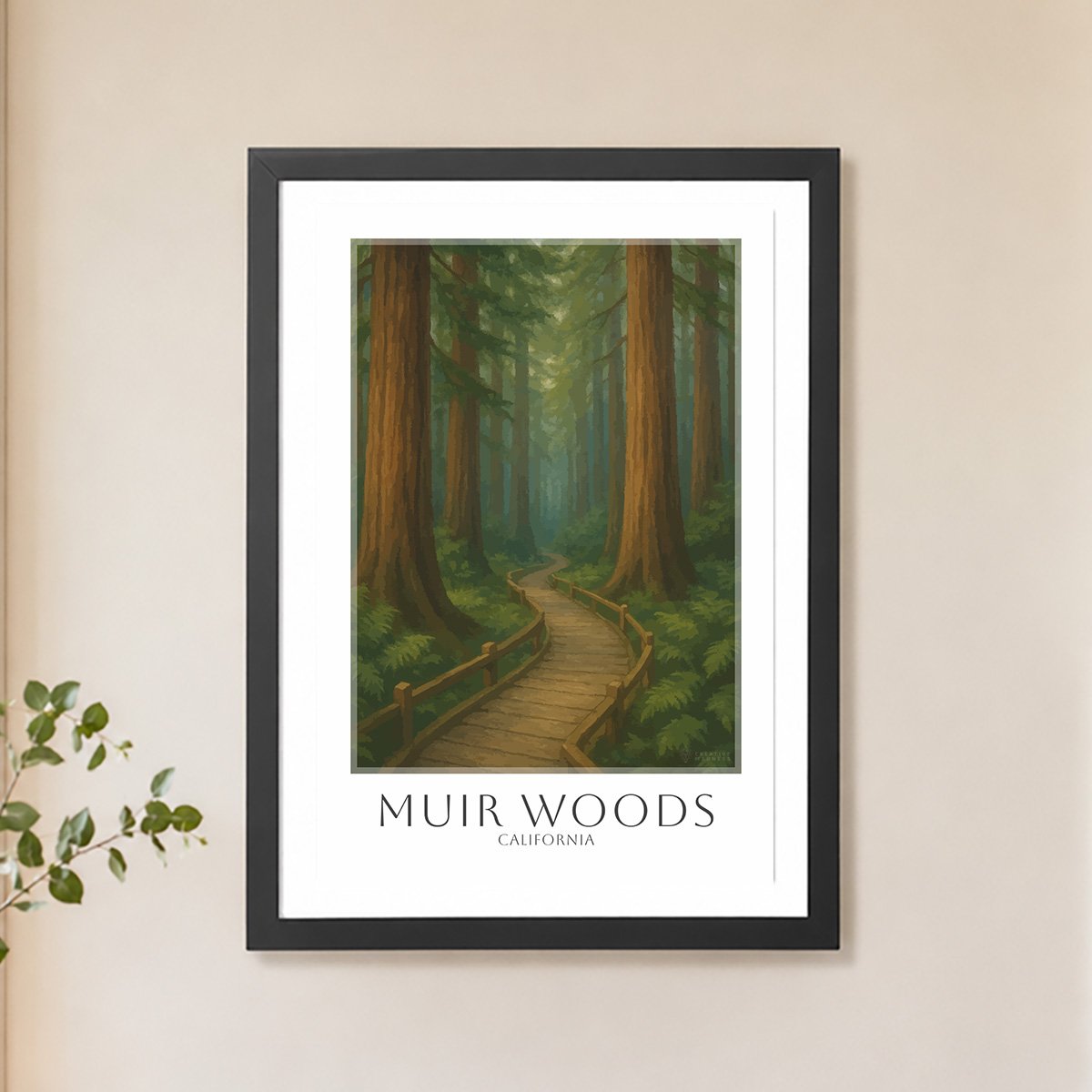 muir-woods-mock-bg-5