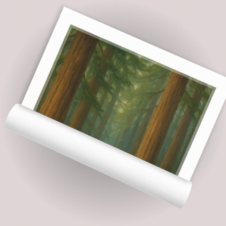 muir-woods-rolled
